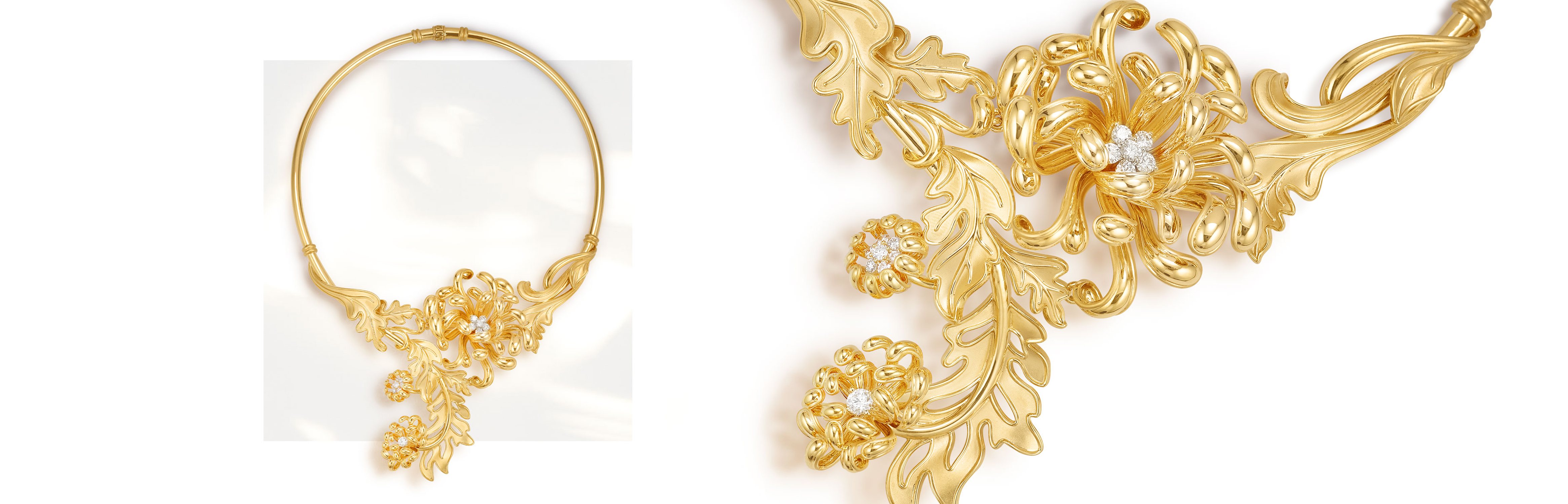 Bộ sưu tập Cúc Viên Mãn